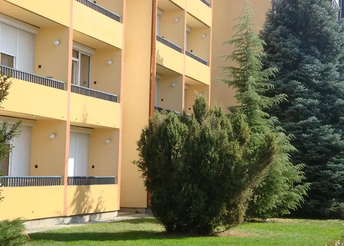 ナップシュガー ヘーヴィーズ