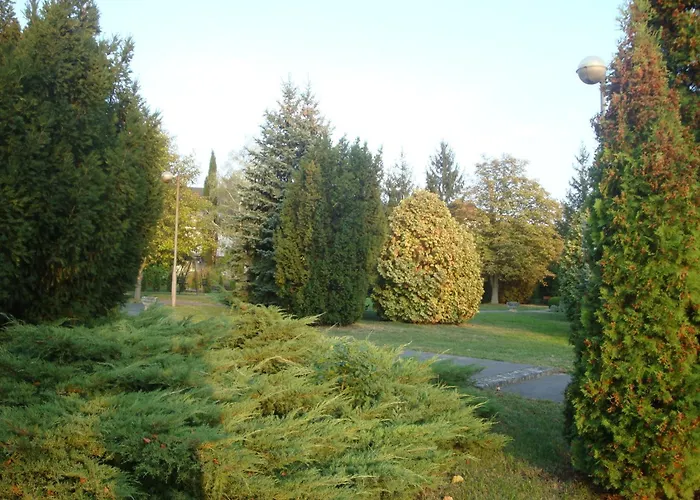 ナップシュガー ヘーヴィーズ